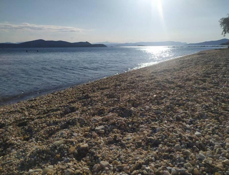 Vila Το Σπίτι Της Μαργαρίτας Στην Παραλία Nea Styra Exteriér fotografie